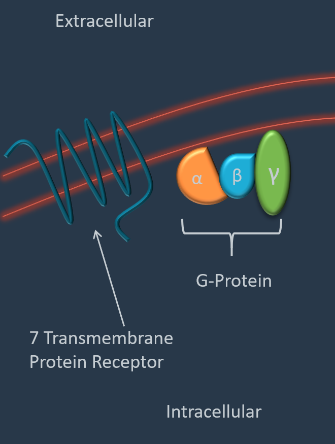 Drug-Receptor Interactions